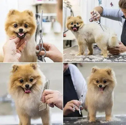 Ножици за подстригване на кучета "Perfect Groom" - Голям комплект в калъф