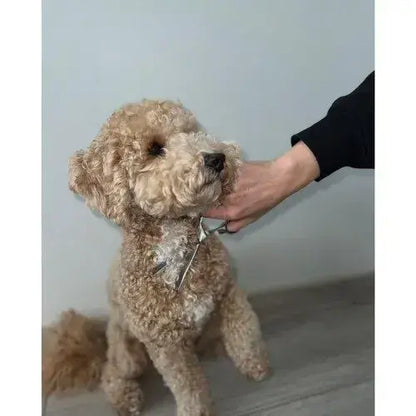 Ножици за подстригване на кучета "Perfect Groom" - Голям комплект в калъф