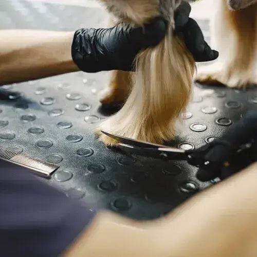 Ножици за подстригване на кучета "Perfect Groom" - Голям комплект в калъф