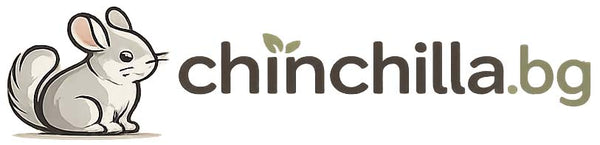Chinchilla